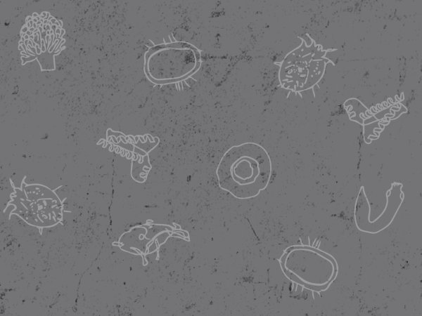 Changements climatiques et hausse des maladies infectieuses  