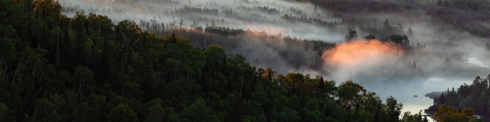 Cartes du forêts