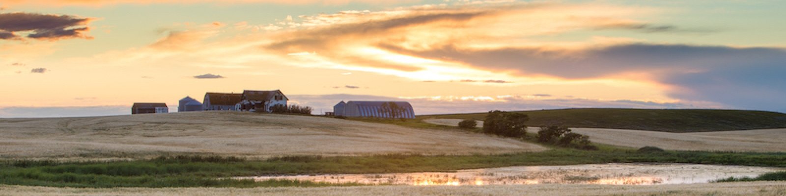 prairie skyline